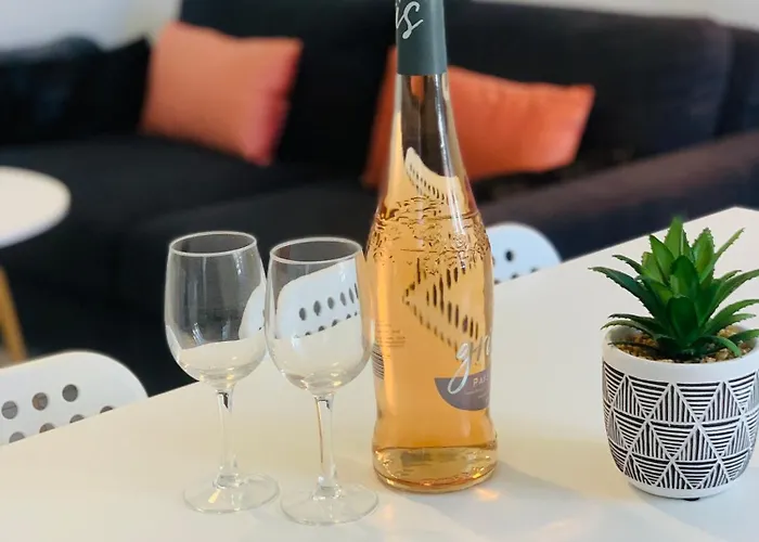 Apartment Climatise Hypercentre Et Plages