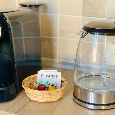 Climatise Hypercentre Et Plages アパート